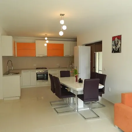 Apartament A&e 克卢日-纳波卡